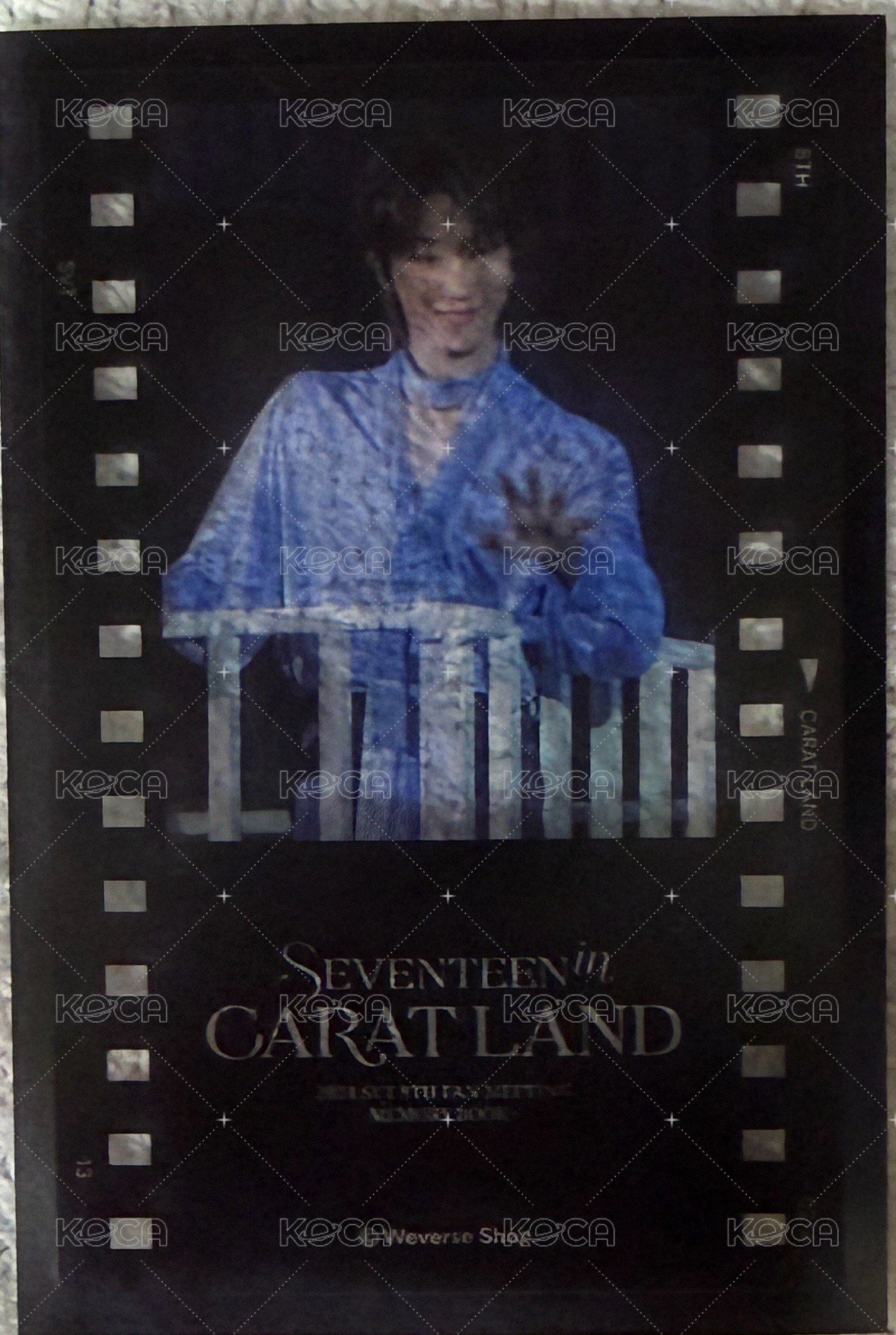 24’克拉島 wvs dvd 特典卡  正面