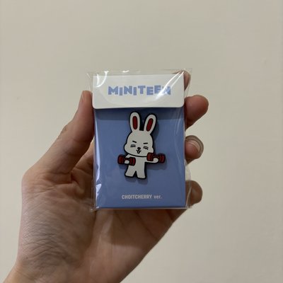 Miniteen 哲胸針+2張哲卡