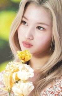 D’FESTA 迷你版 D社 周邊卡 