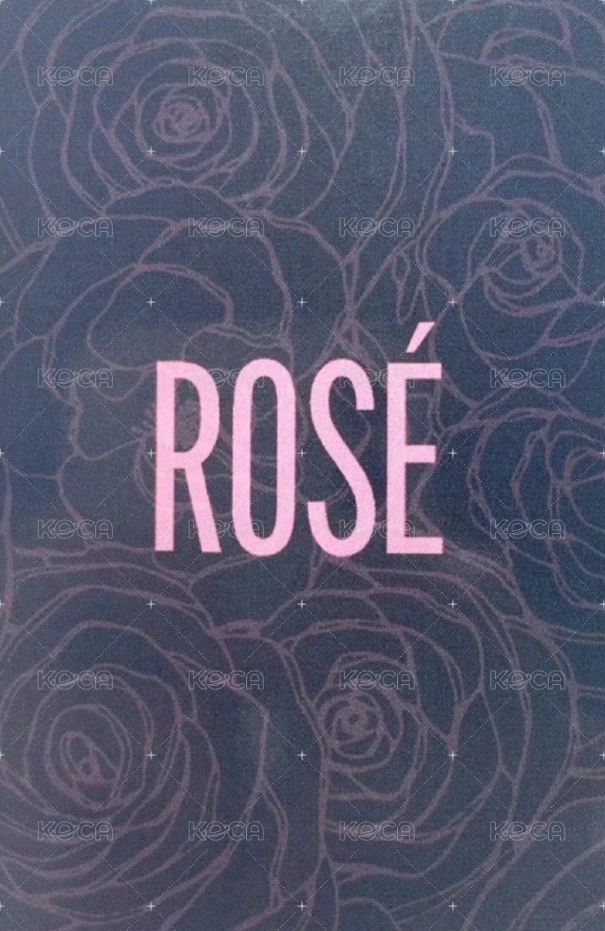 -R- KMStore 特典卡 新加坡肉 背面