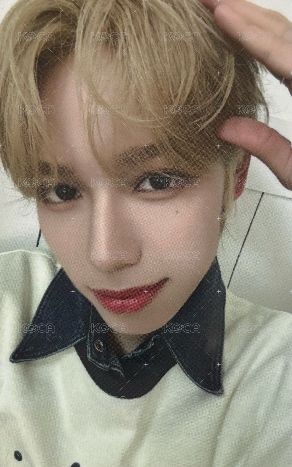 SEVENTOEIGHT 1st single km 簽售卡 狗狗 ver. 正面