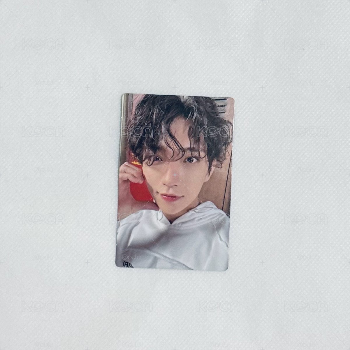SEVENTEEN MINI10 專卡|知秀🦌