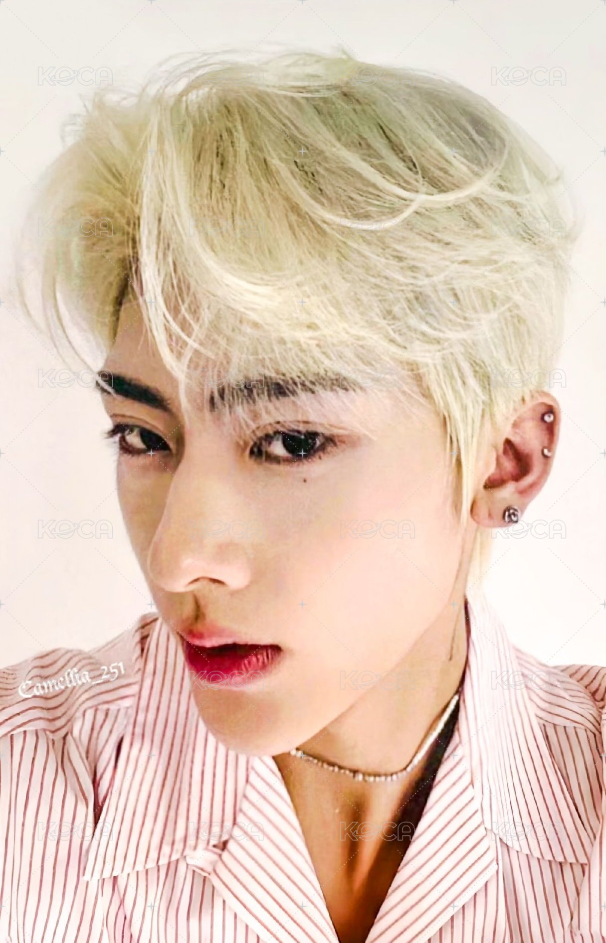 芭蘭歌林 代言卡 1.0 正面