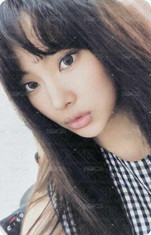 2025SG 年曆卡  正面