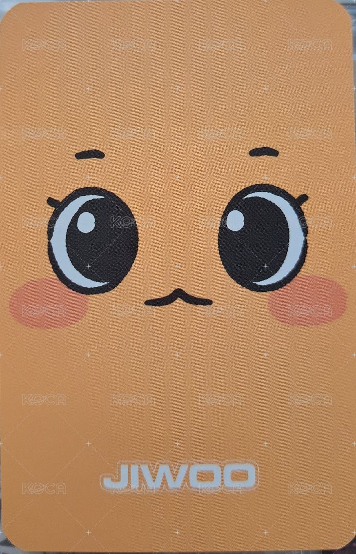 MIXX LAB 周邊卡 立牌友 背面