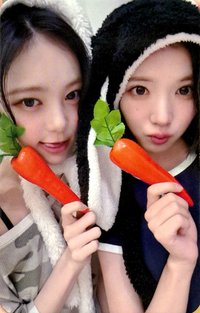 Style ju 3.0 幸運卡 