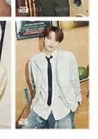 SEVENTEEN Holiday Dino 布海報