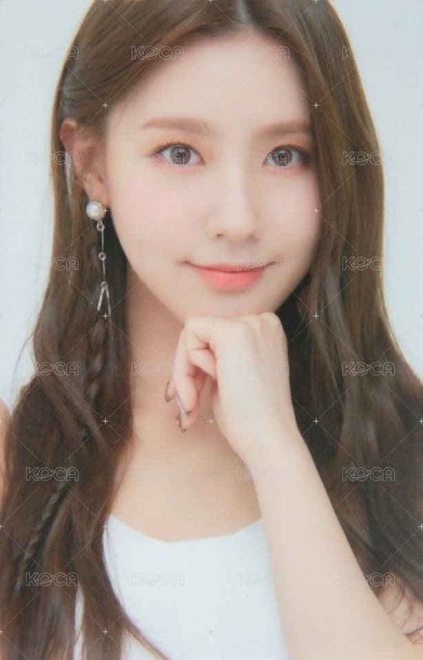 一期會員 會員禮卡  正面