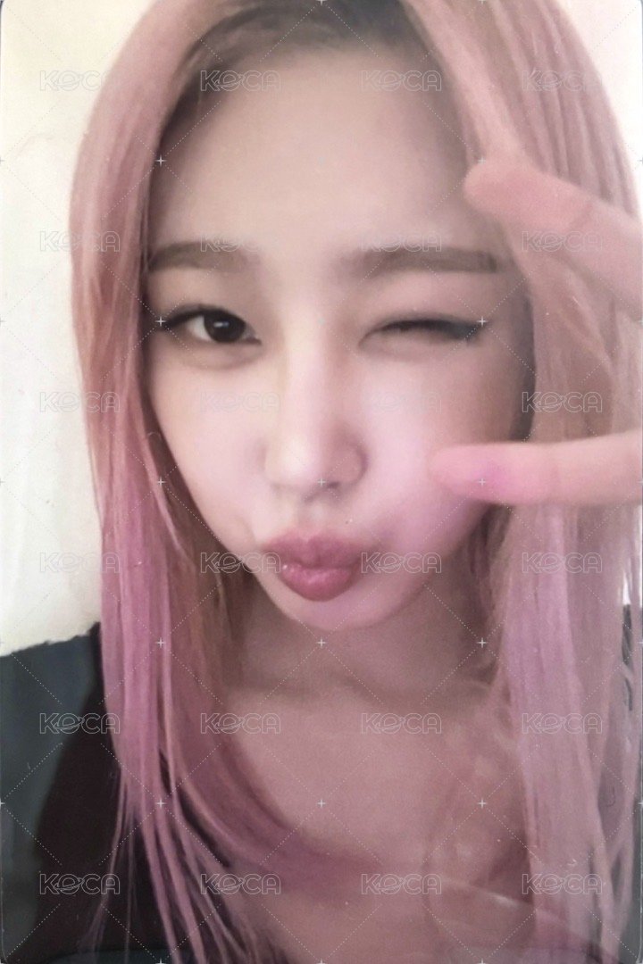 Whiplash kms 抽選卡 上海中簽吉 正面