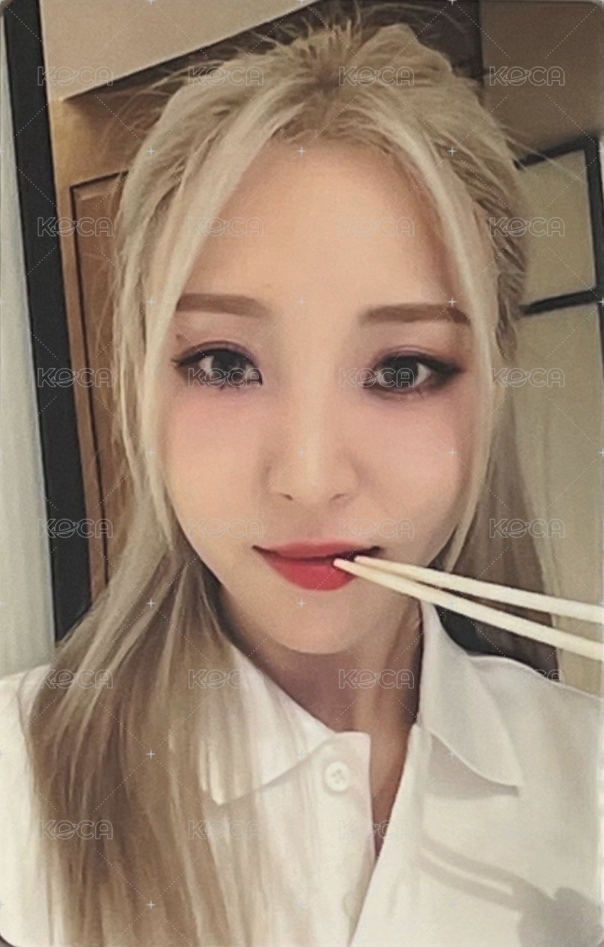 Starlit of Muse km 高雄 簽售卡  正面