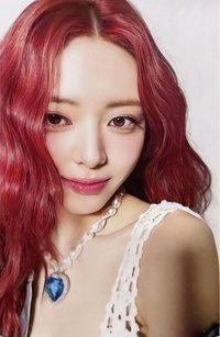 Algorhythm 專輯卡 初回限定盤