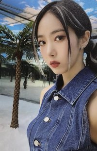 迷二 專輯卡 粉版