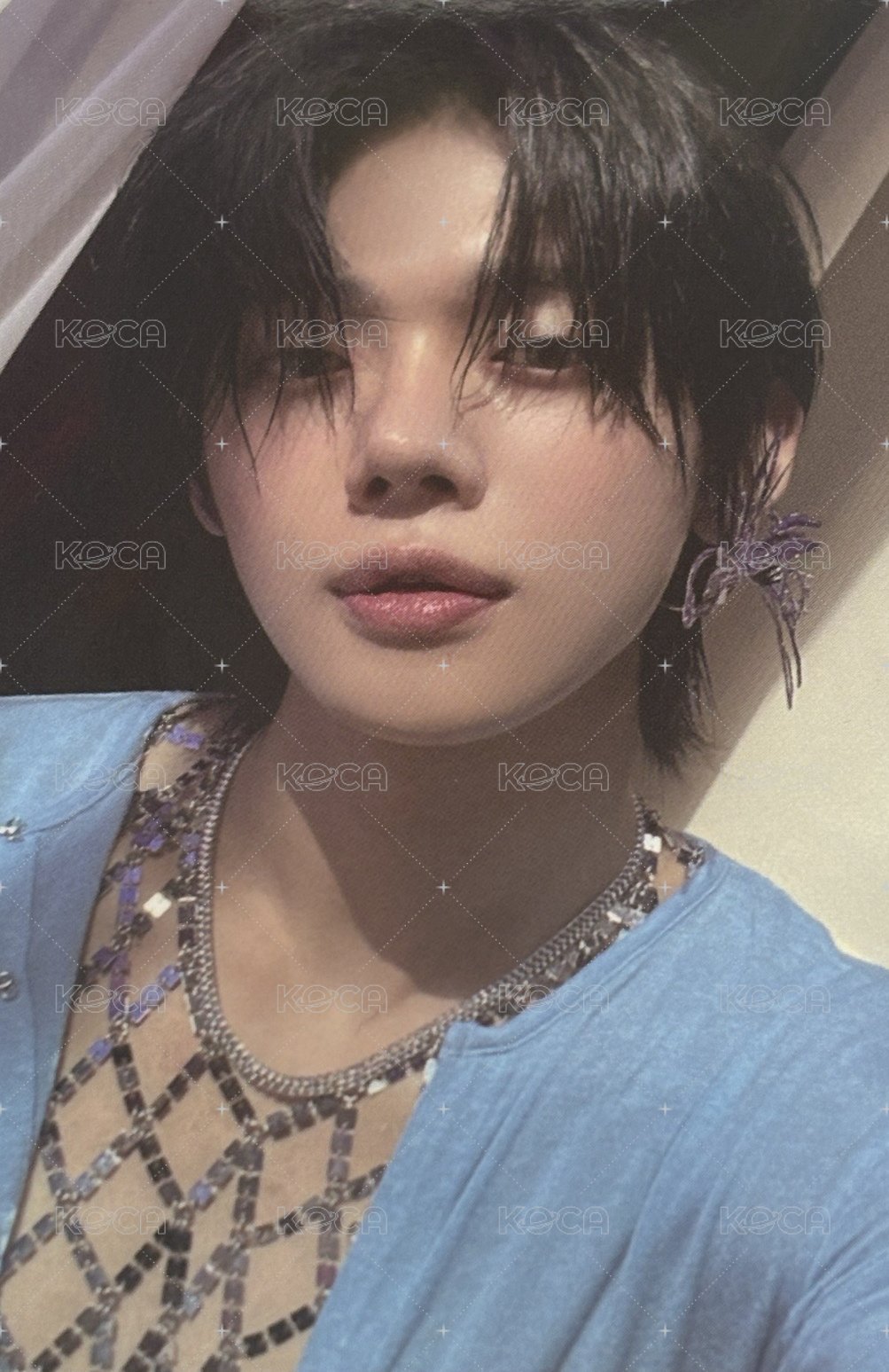 迷五 wvs 特典卡  正面