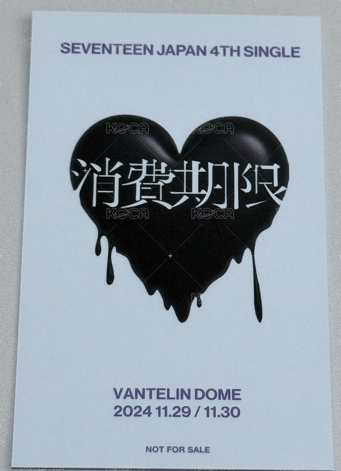 消費期限 環球 愛知 入場卡 / 場限卡  背面