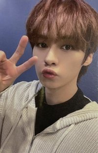 5-STAR 塔店 特典卡 