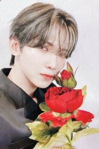 Fever pt.3 wonderwall 1.0 簽售卡 