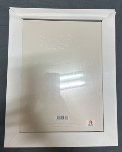 SULLYOON未拆油畫專