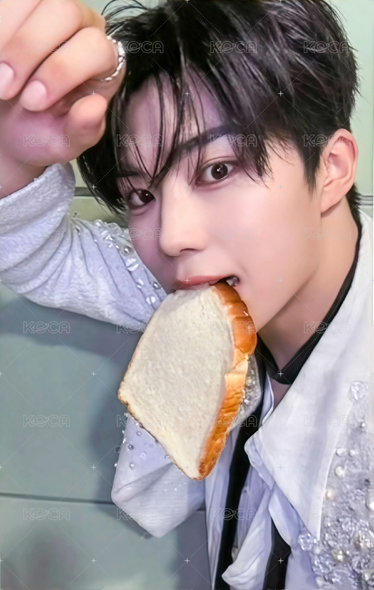 迷五 mp 特典卡 麵包ver. 正面