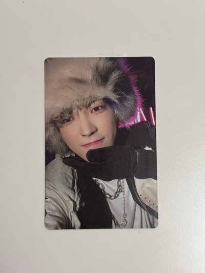 弘中 專卡 毛茸茸松鼠🐿️