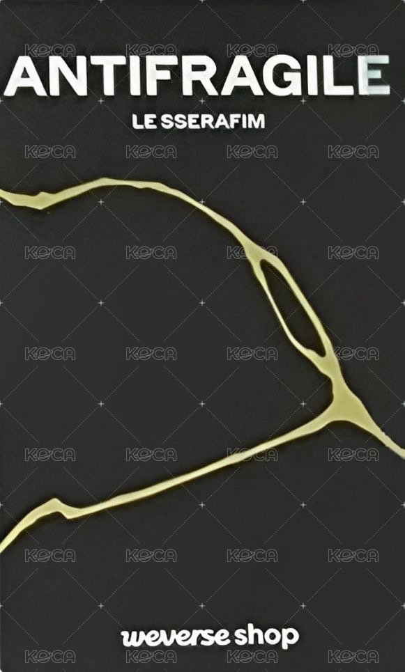 ANTIFRAGILE wvs PB預售 特典卡 閃卡 背面