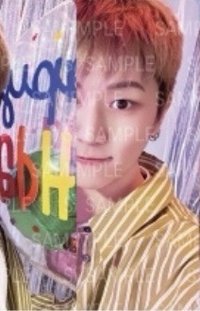 25生日 周邊卡 小卡組 固配