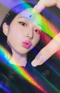 FORWARD ms 預售 特典卡 