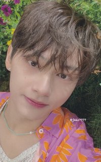 正四後續 日咖 特典卡 ｜WVSJP特典