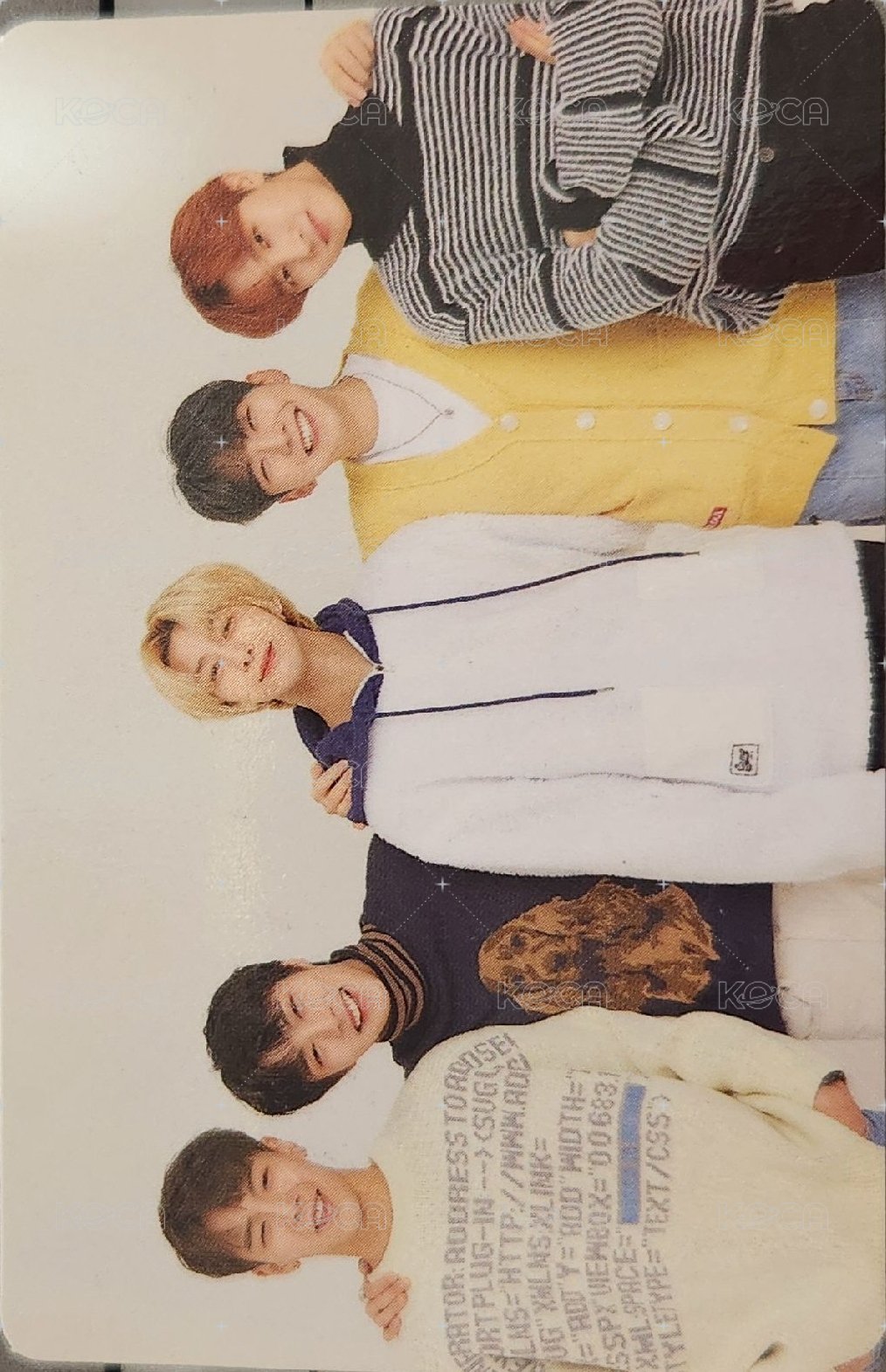 TTG雙下巴熊 周邊卡  正面