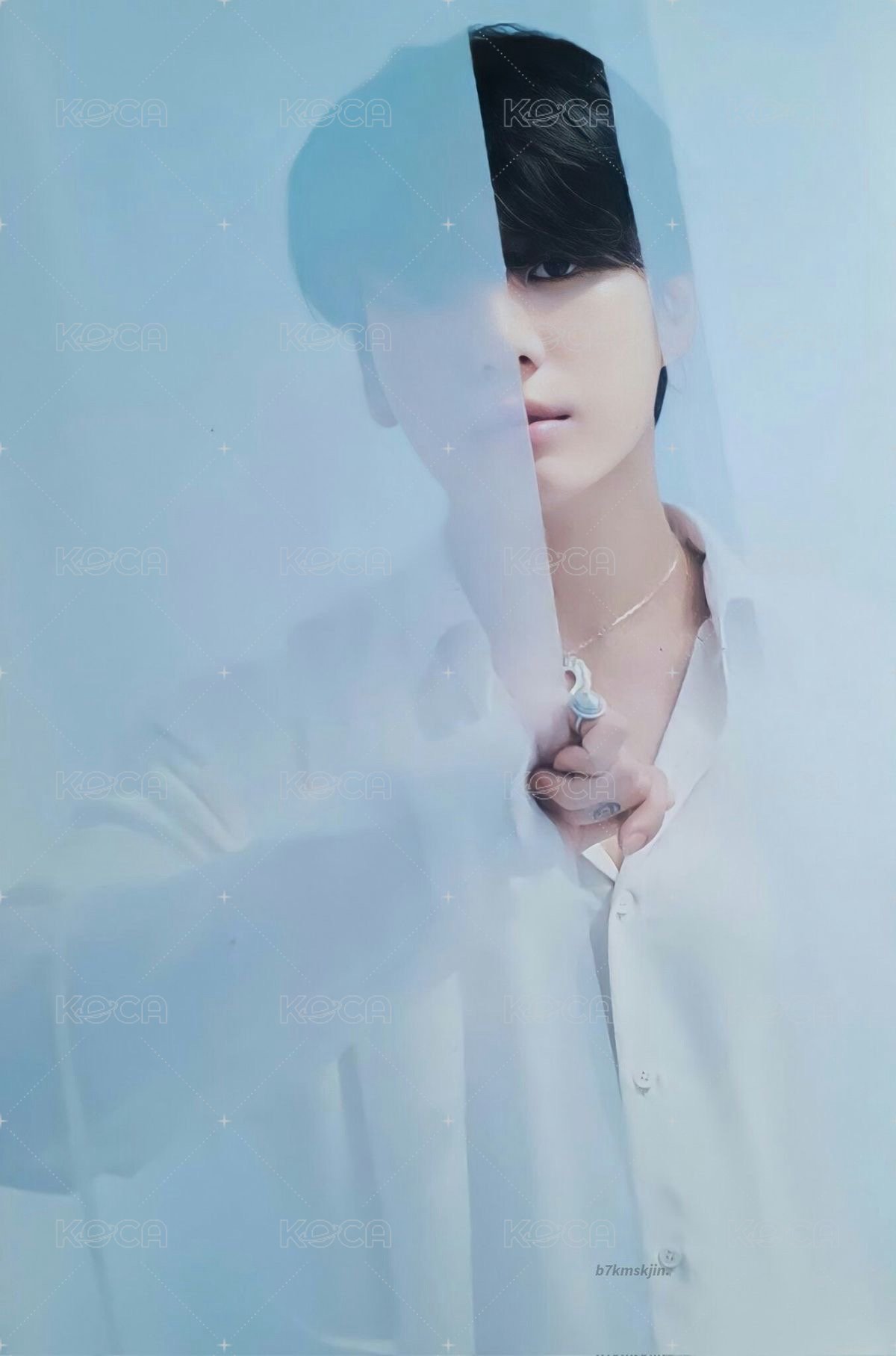 Proof 明信片 Standard 隨機 正面