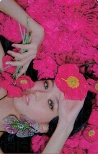 ME k4 仁寺洞飲料 幸運卡 