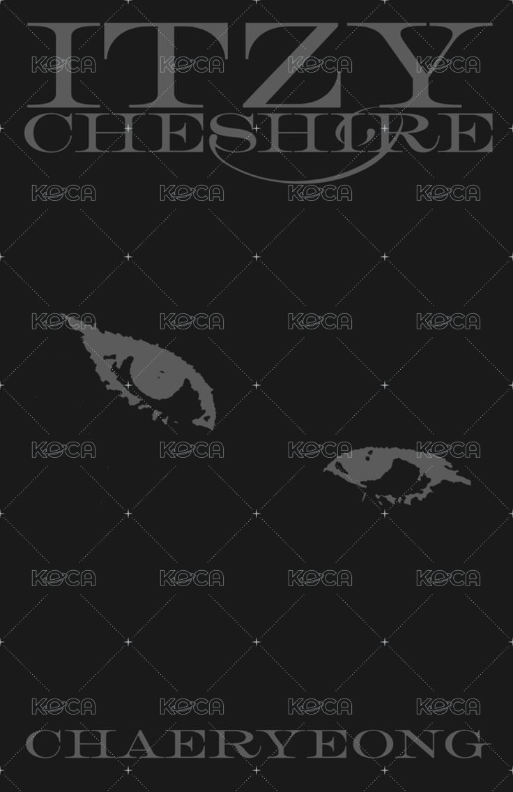 CHESHIRE 專輯卡 普版 背面