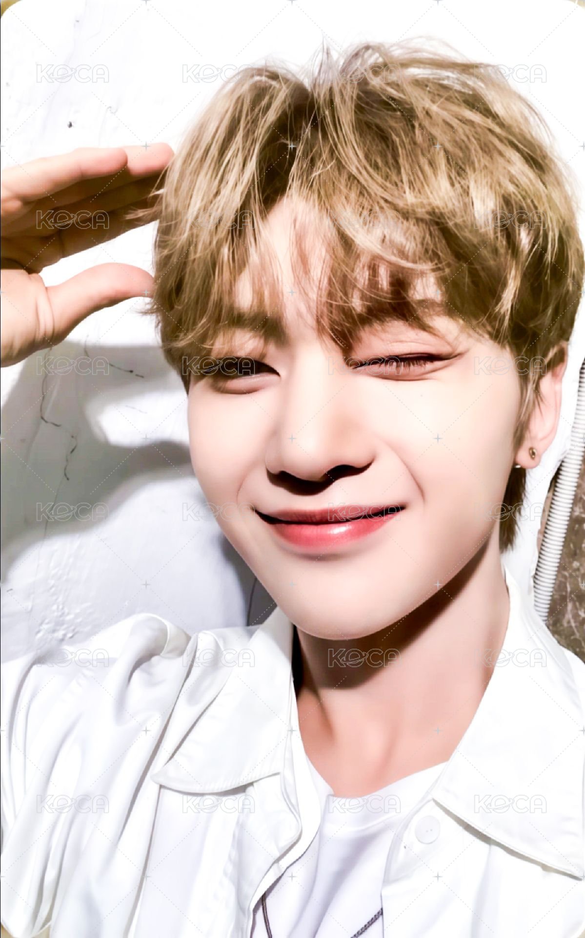 迷一 wm 幸運卡 狗耳 ver. 正面