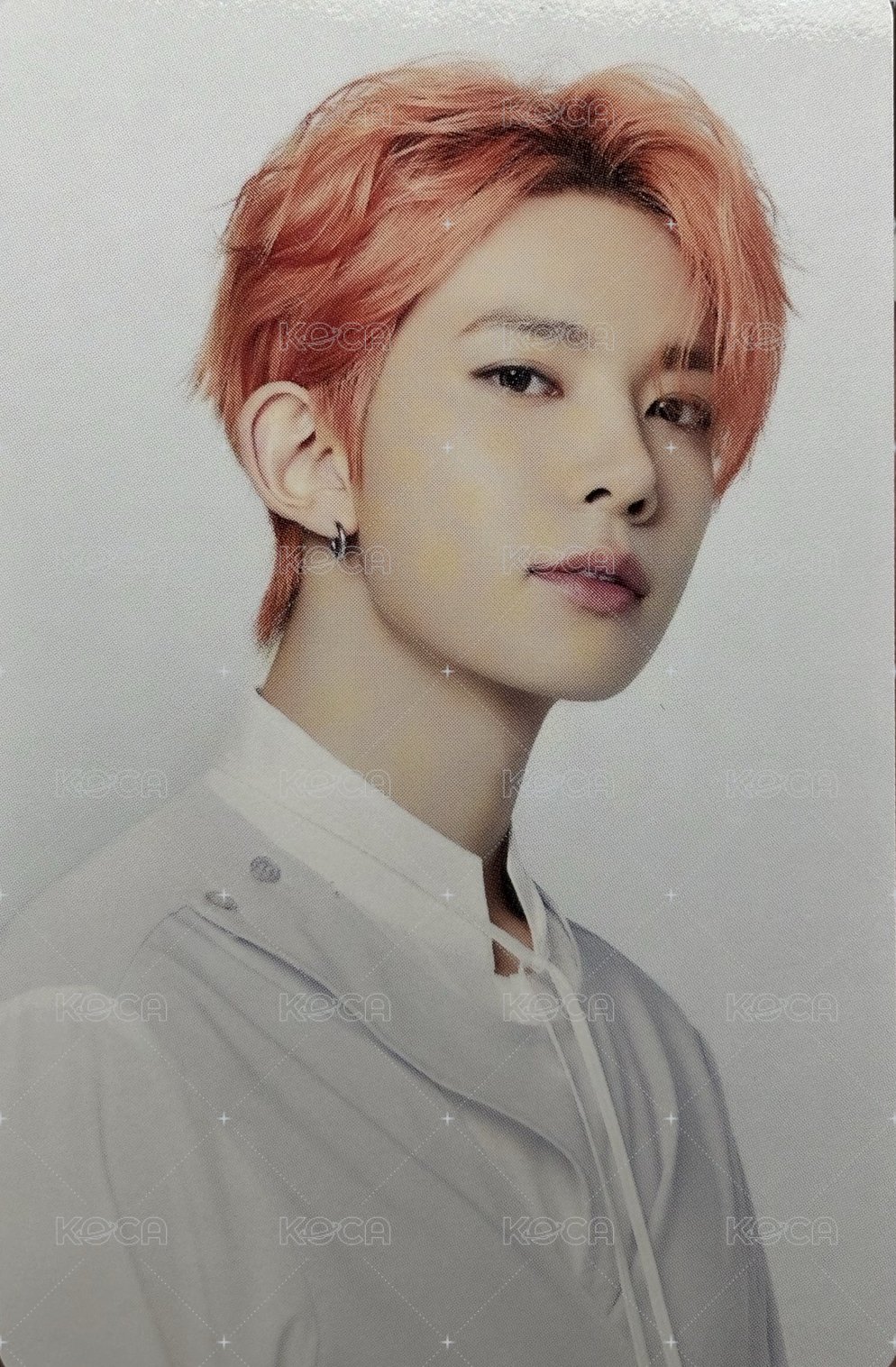 WTL世巡 隨機卡 WTL in Japan 正面