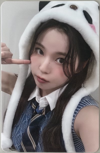 NMIXX KYUJIN MS 中文卡背 熊貓圭