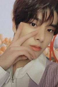 22年D社 雜誌卡 卡冊卡