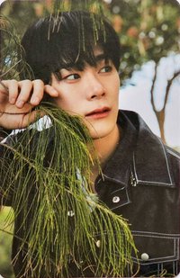 花生寫真 隨機卡 