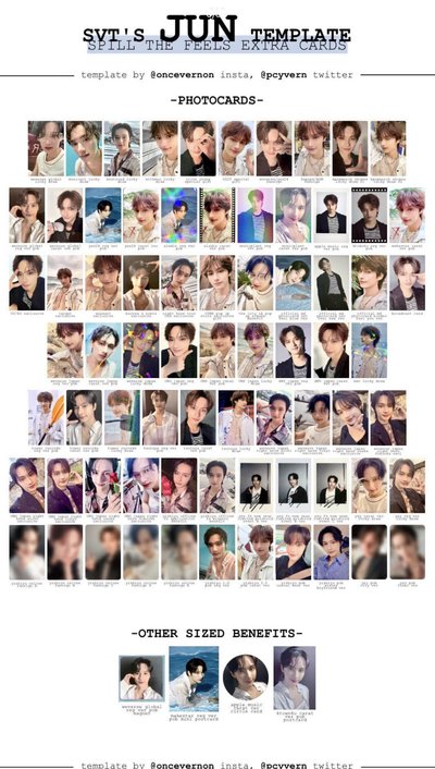 seventeen 俊 特典/專卡/場限/隨機卡