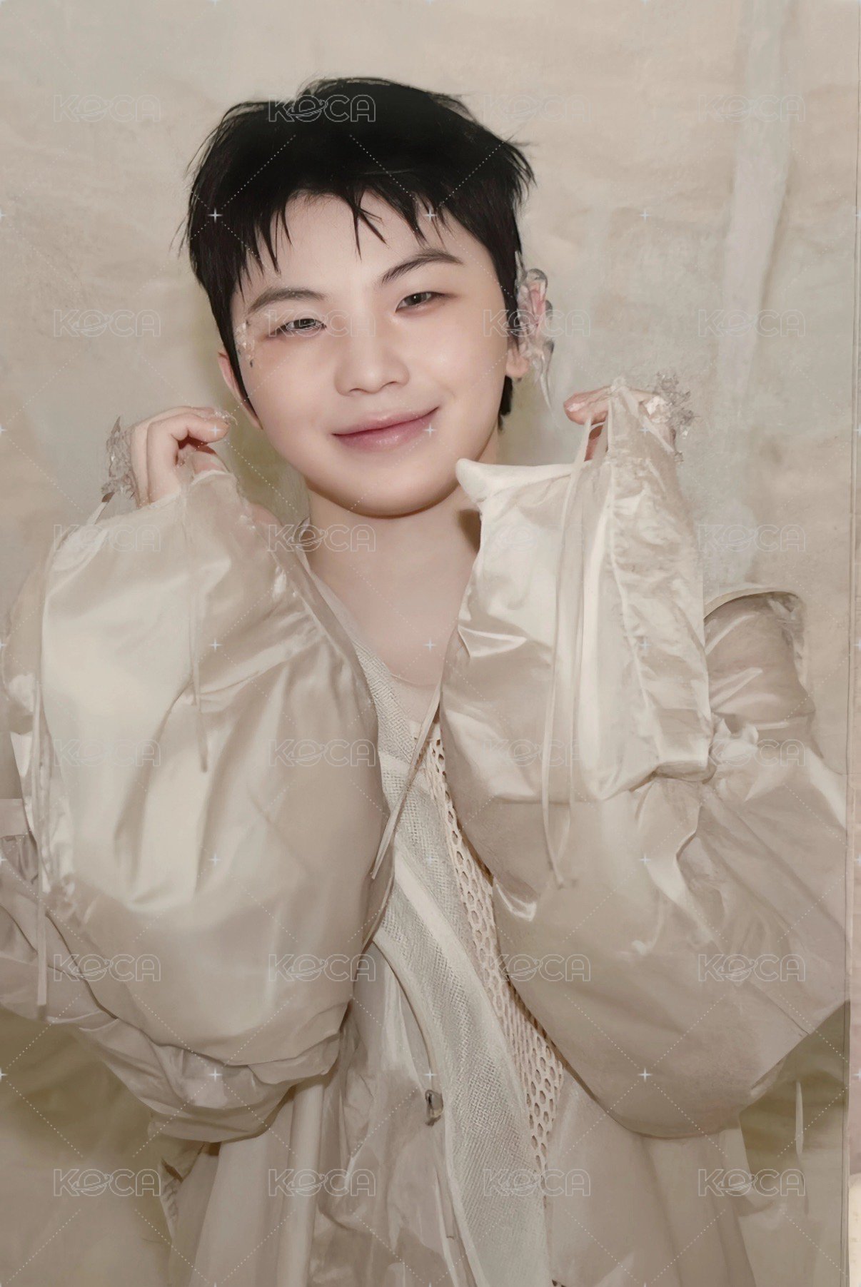 正五 日咖 特典卡 風琴卡 正面