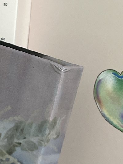 mini10 新郎盤 🐰