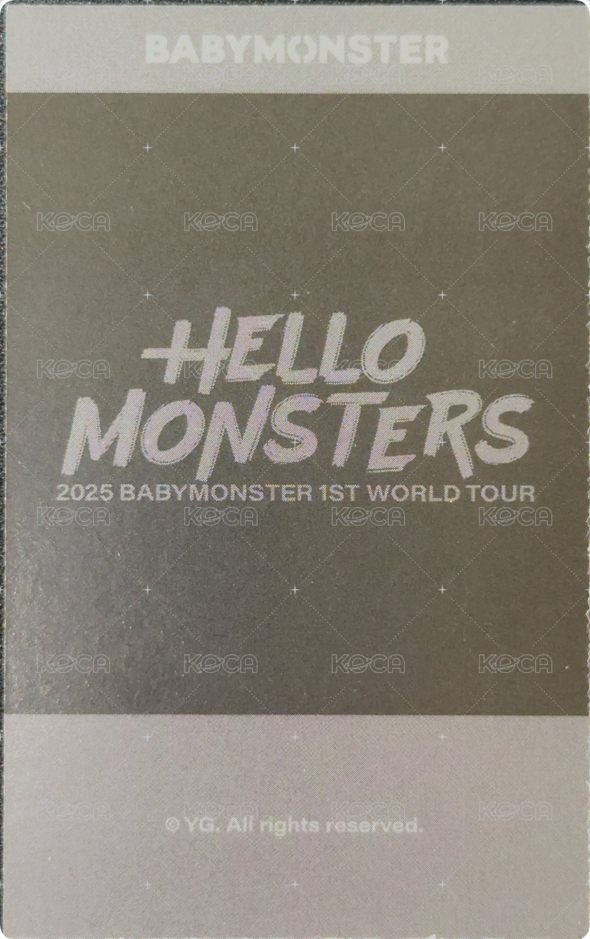 25’世巡 wvs 周邊卡 鐵盒拍立得 背面