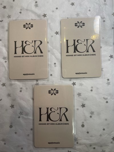 am線下小狗特典米妮