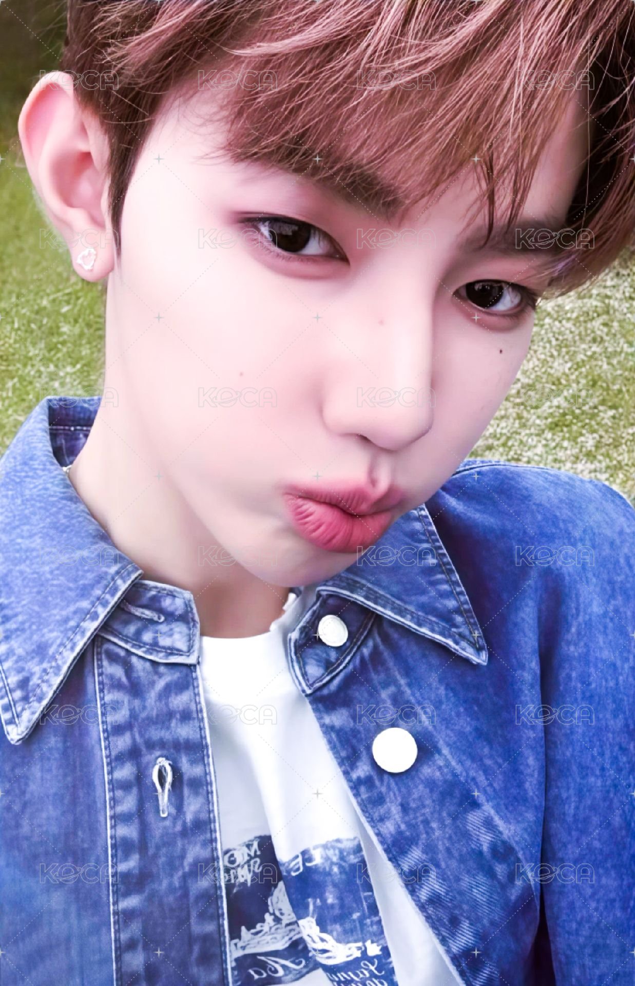 二期會員 會員禮卡  正面