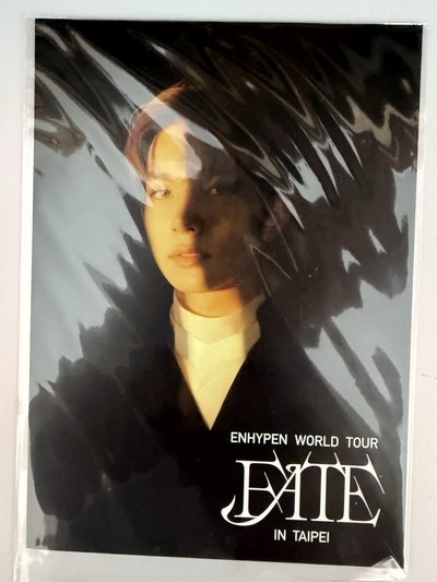 ENHYPEN WORLD TOUR FATE 明信片 李羲承 HEESEUNG