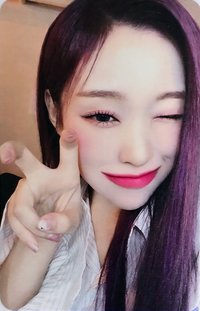 七扇門巡演聖誕場 隨機卡 卡包卡