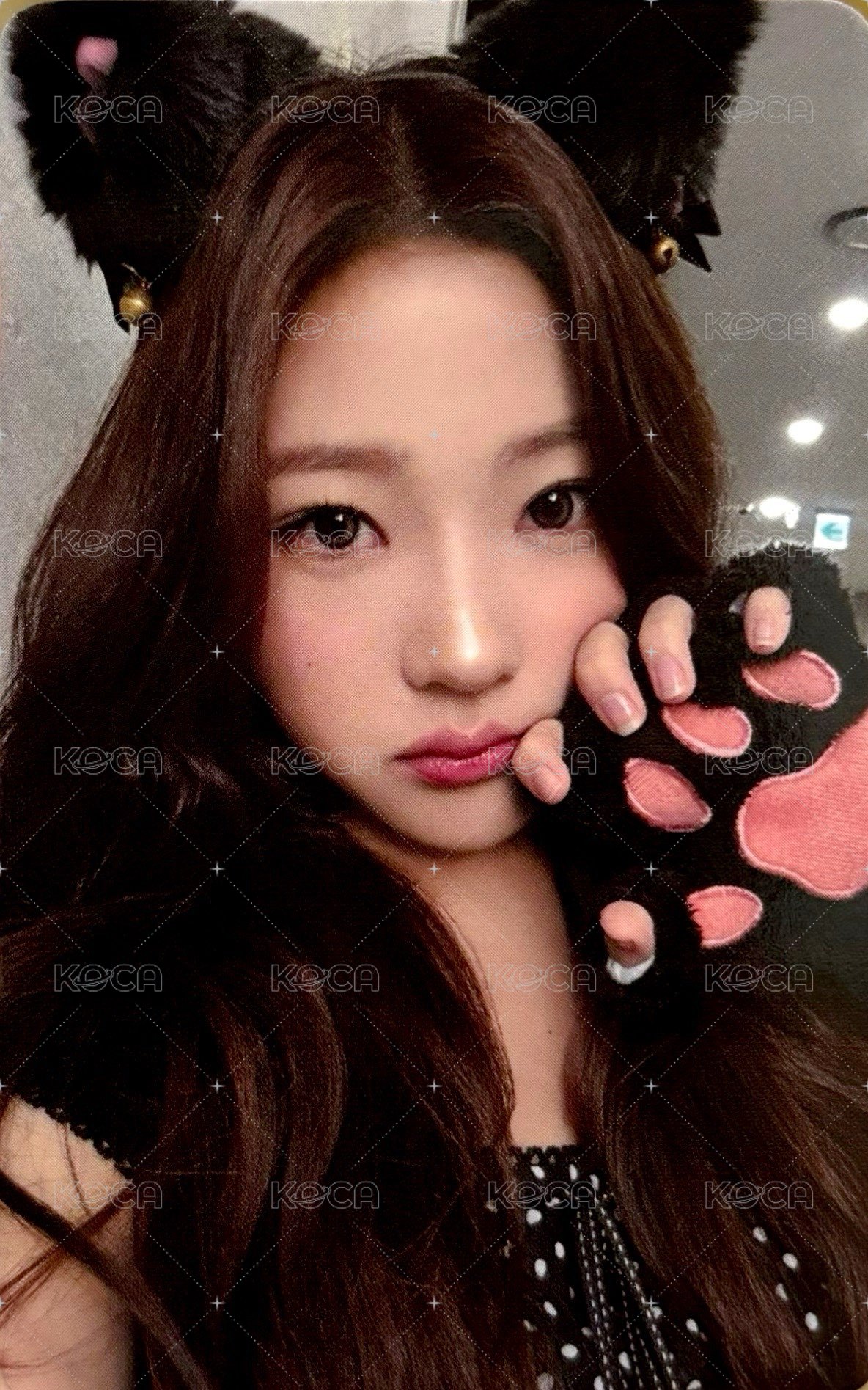 數單一 el 2.0 幸運卡  正面