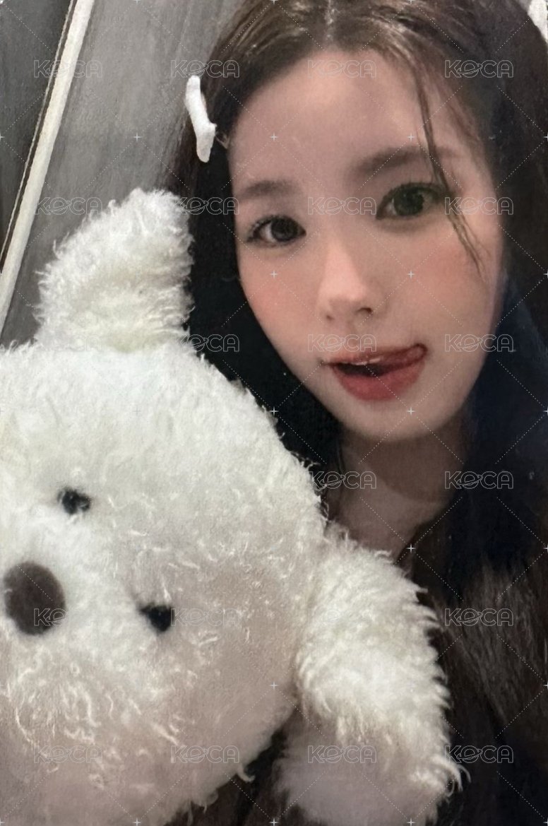 We are hl 2.0 簽售卡 狗狗麵 正面