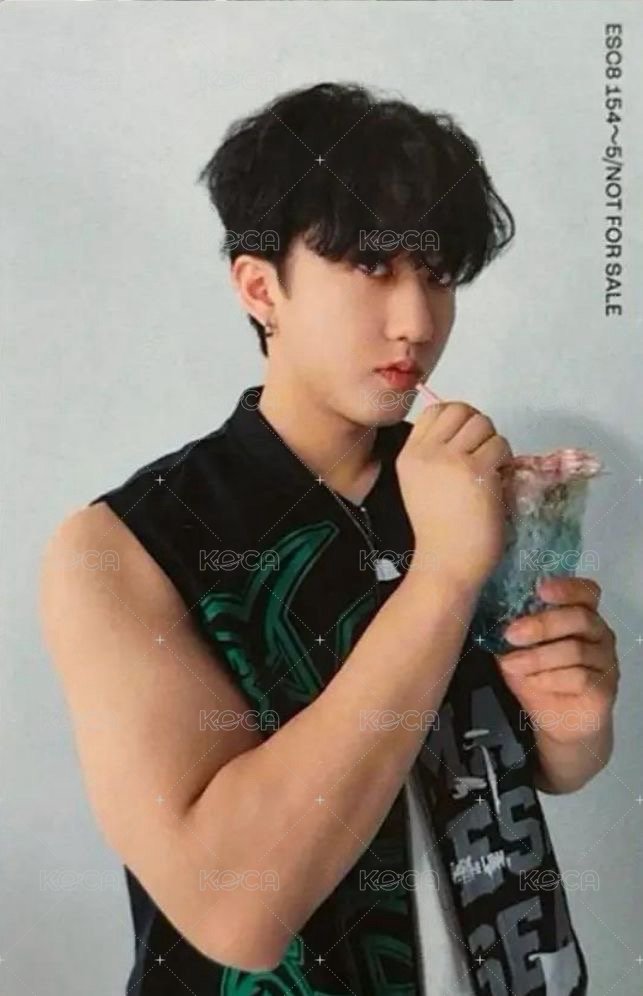 Social Path 專輯卡 FC盤 背面