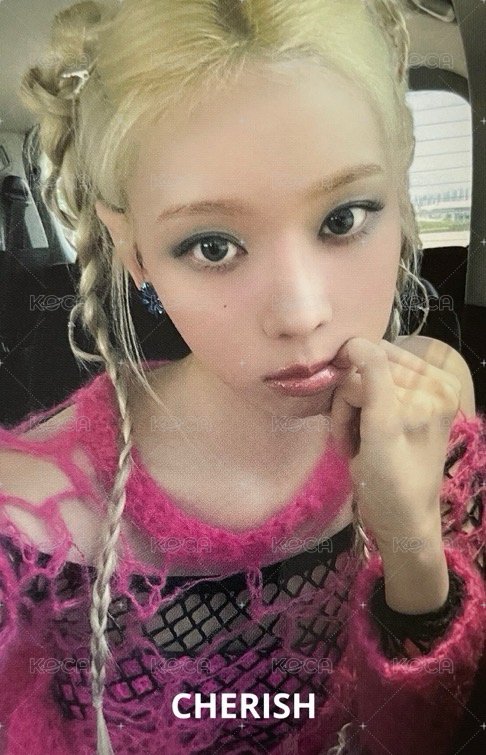 正規一 華納 特典卡 冬 正面