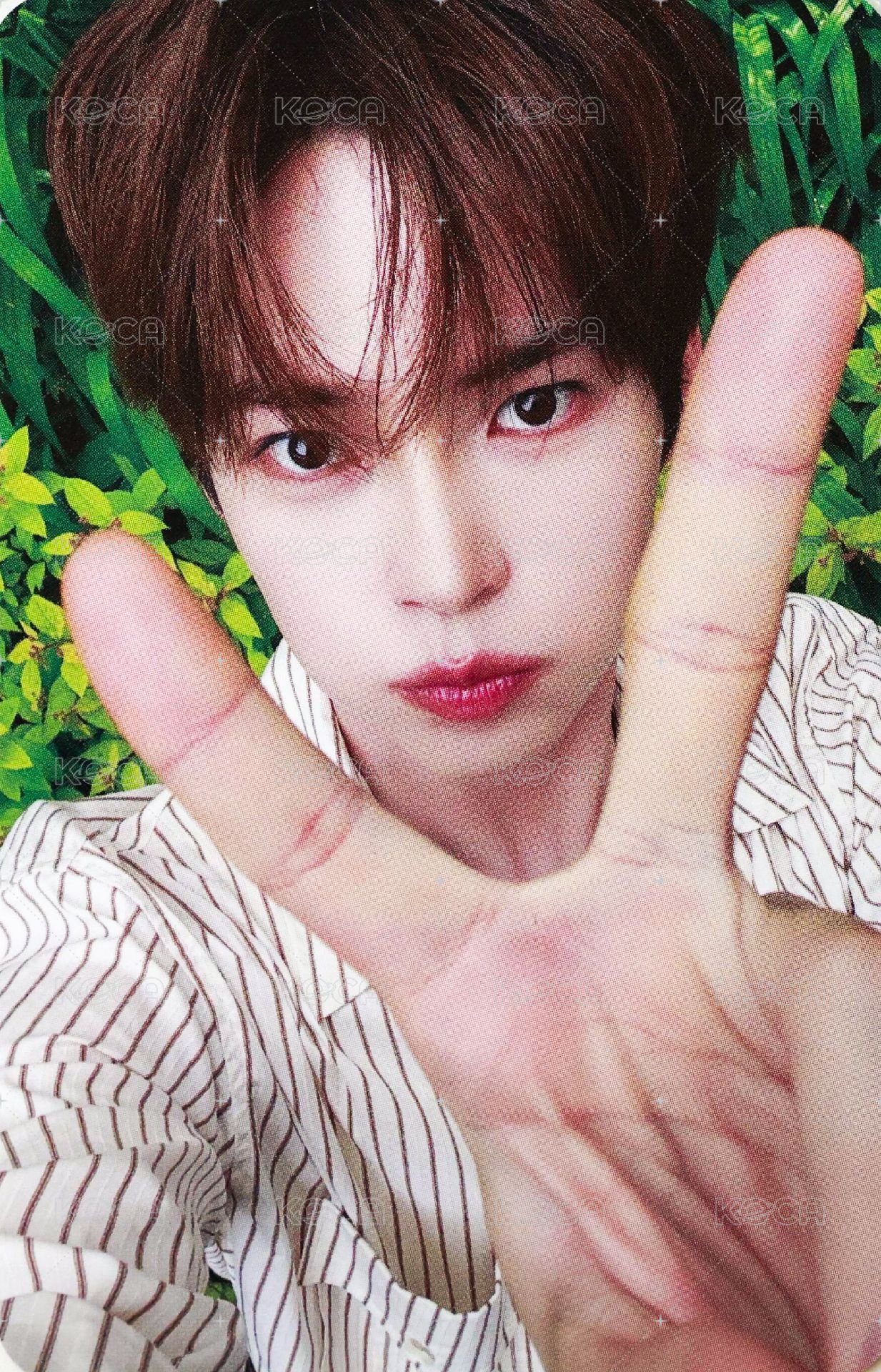 正規一 ms 幸運卡 比耶 ver. 正面