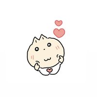 csy